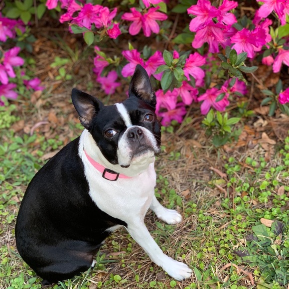 Meet your Posher, Madison - Picture 9 of 10